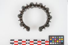 Foto von Bronzebuckelarmreif (NHMW-PRAE-025549)